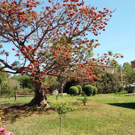 Appartamenti Is Murdegus Tortolì Exterior foto